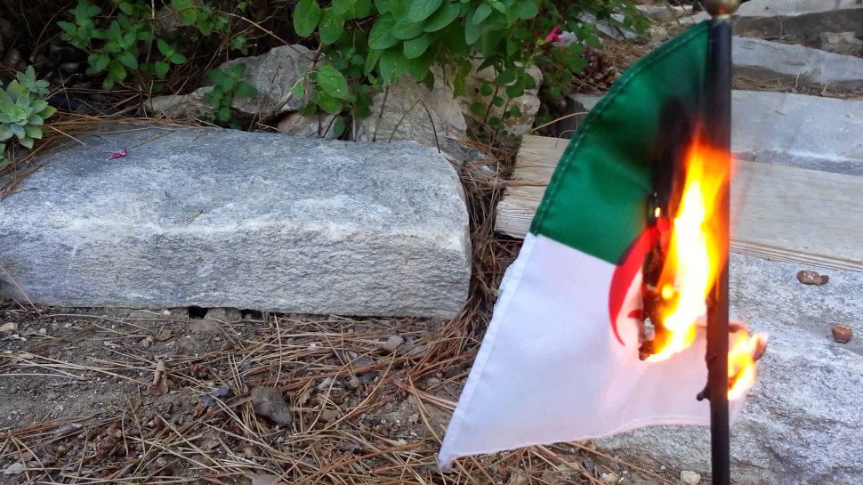 Non, des supporters de foot n'ont pas brûlé le drapeau algérien - Beur FM